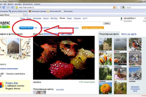 Какая ссылка у кракена