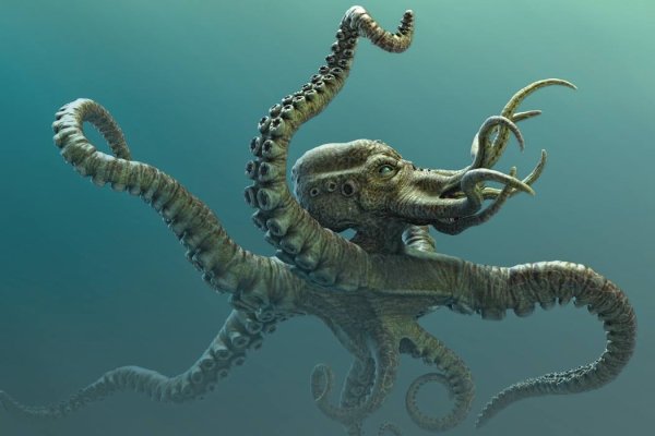Kraken рабочая ссылка 2025