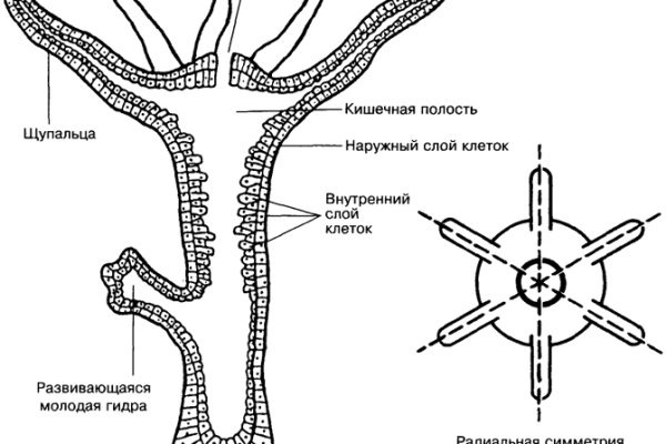 Кракен официальная ссылка