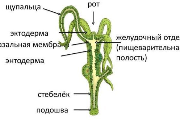 Кракен макет плейс